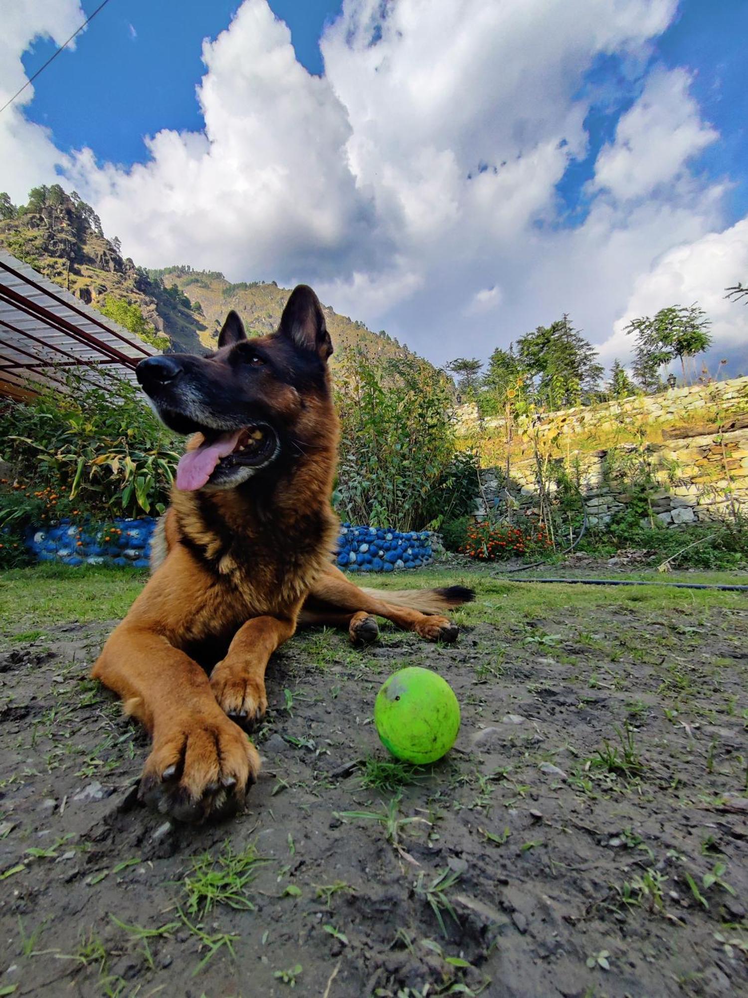 Flipsyde Retreat Hotel Kasol Buitenkant foto