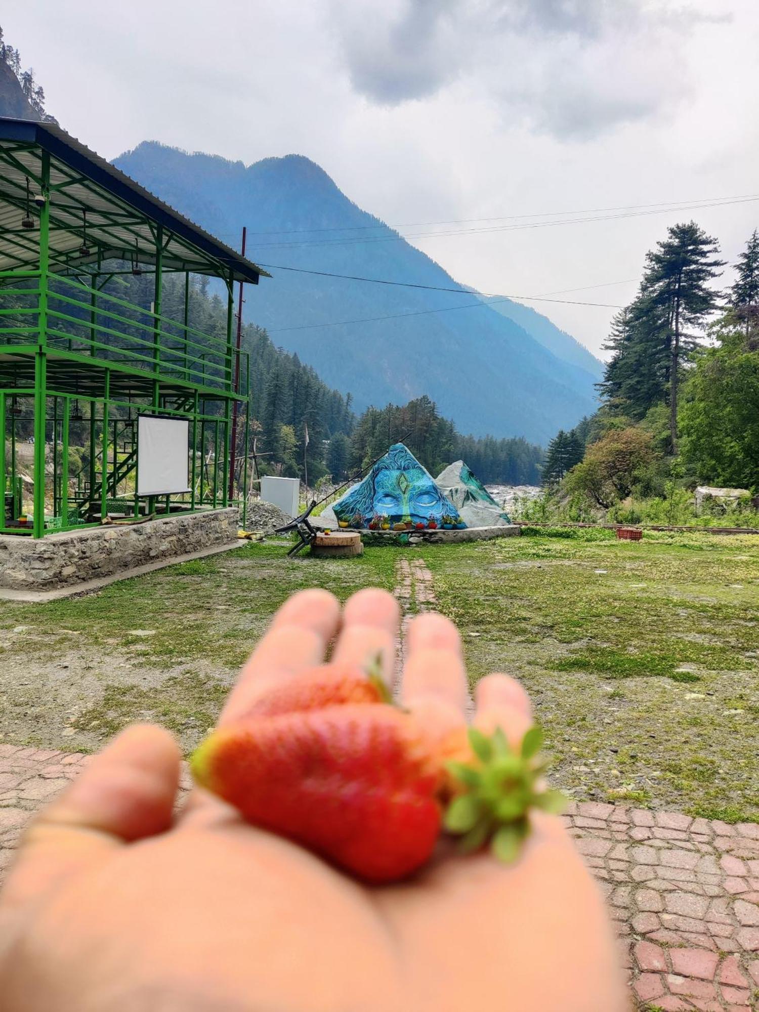 Flipsyde Retreat Hotel Kasol Buitenkant foto