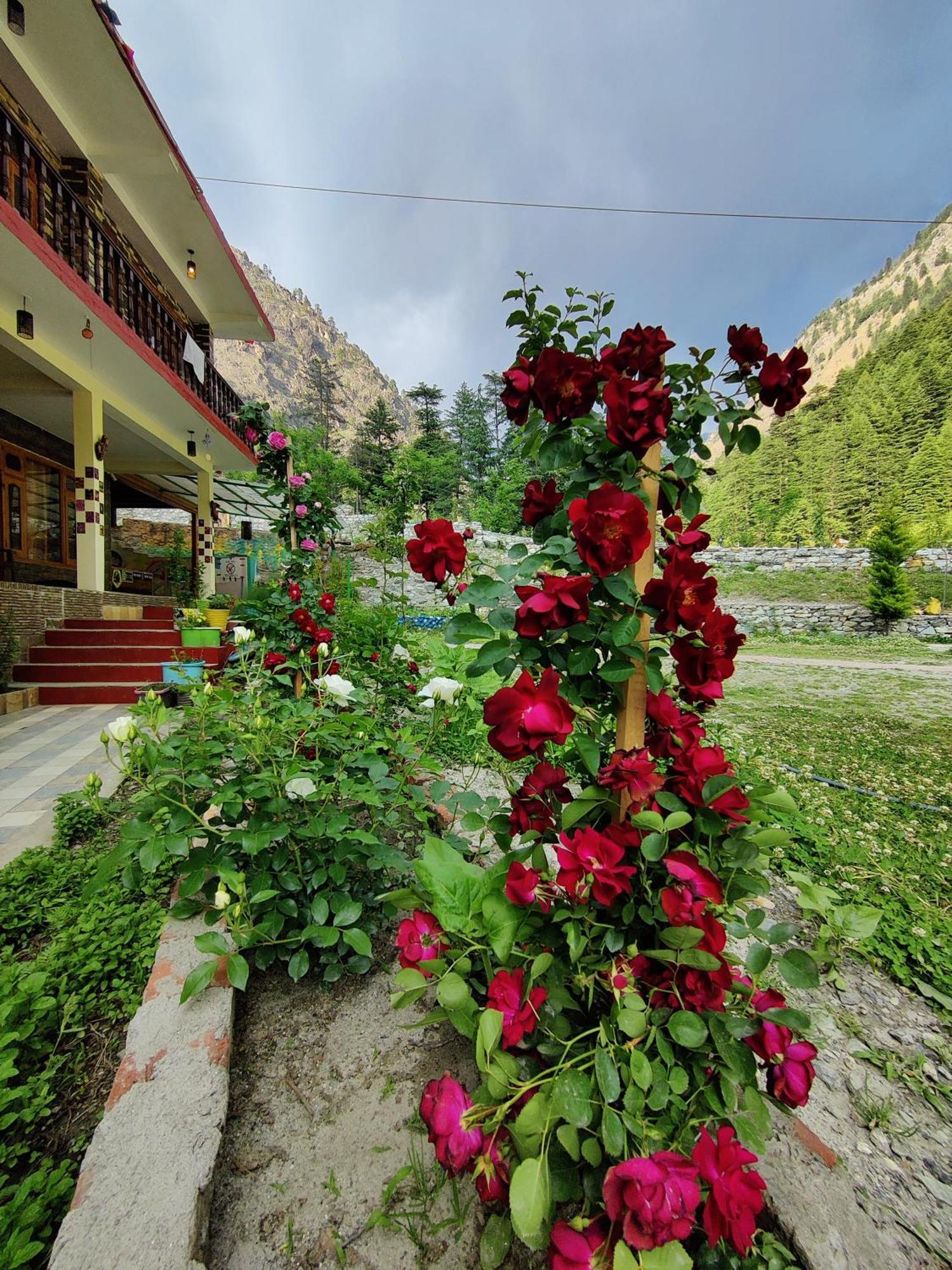 Flipsyde Retreat Hotel Kasol Buitenkant foto