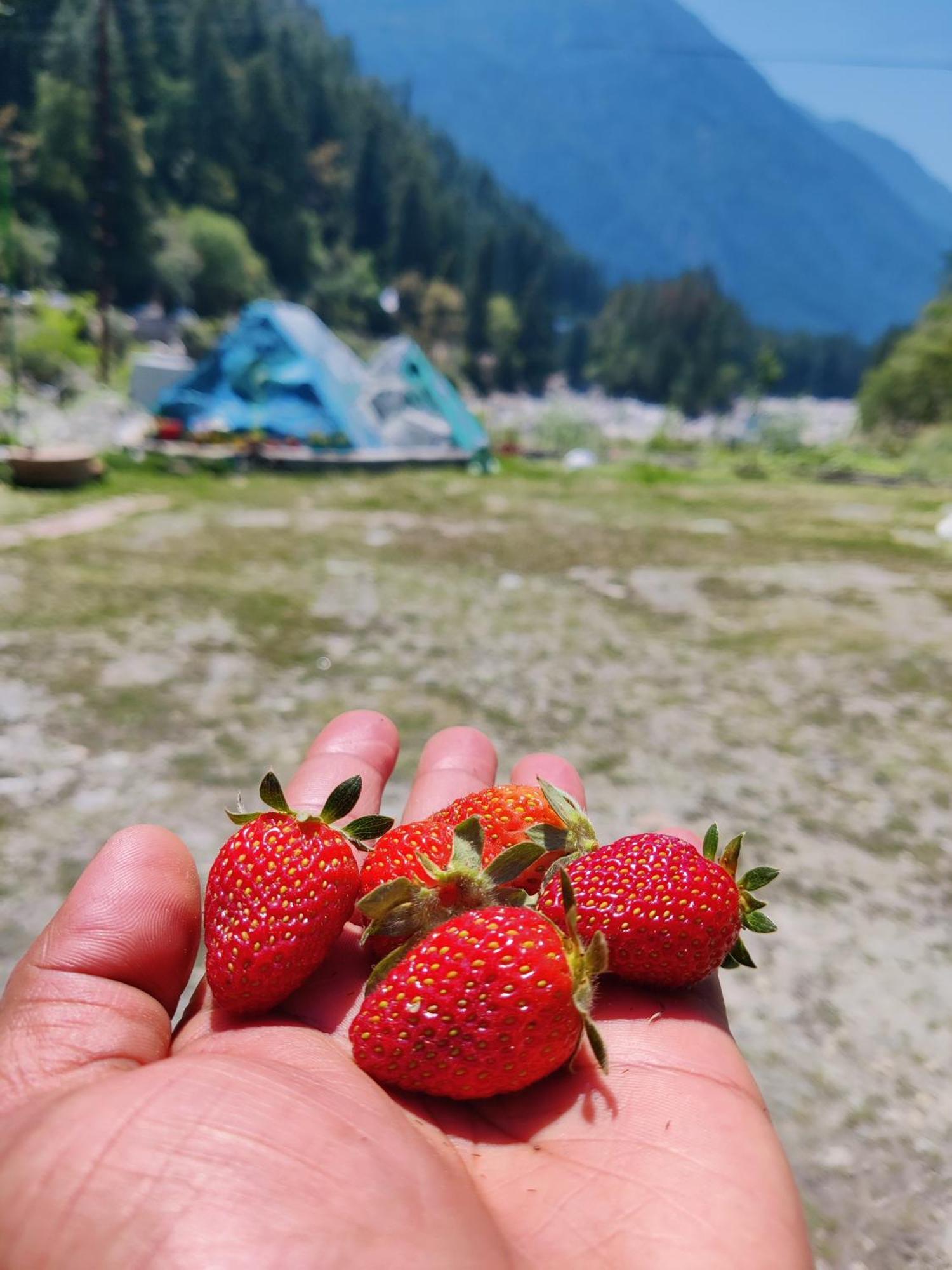 Flipsyde Retreat Hotel Kasol Buitenkant foto