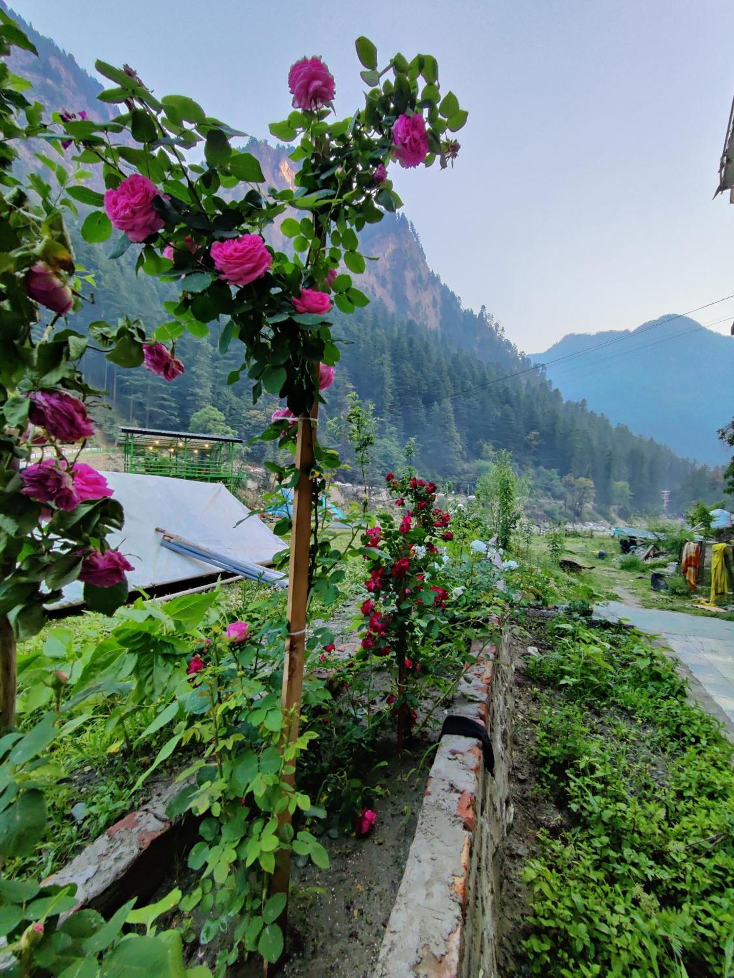 Flipsyde Retreat Hotel Kasol Buitenkant foto